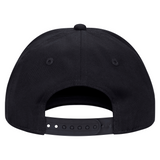 Black back