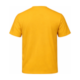 S05610 Gold Back